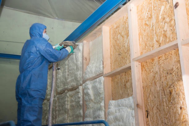 Best Spray Foam Insulation  in USA